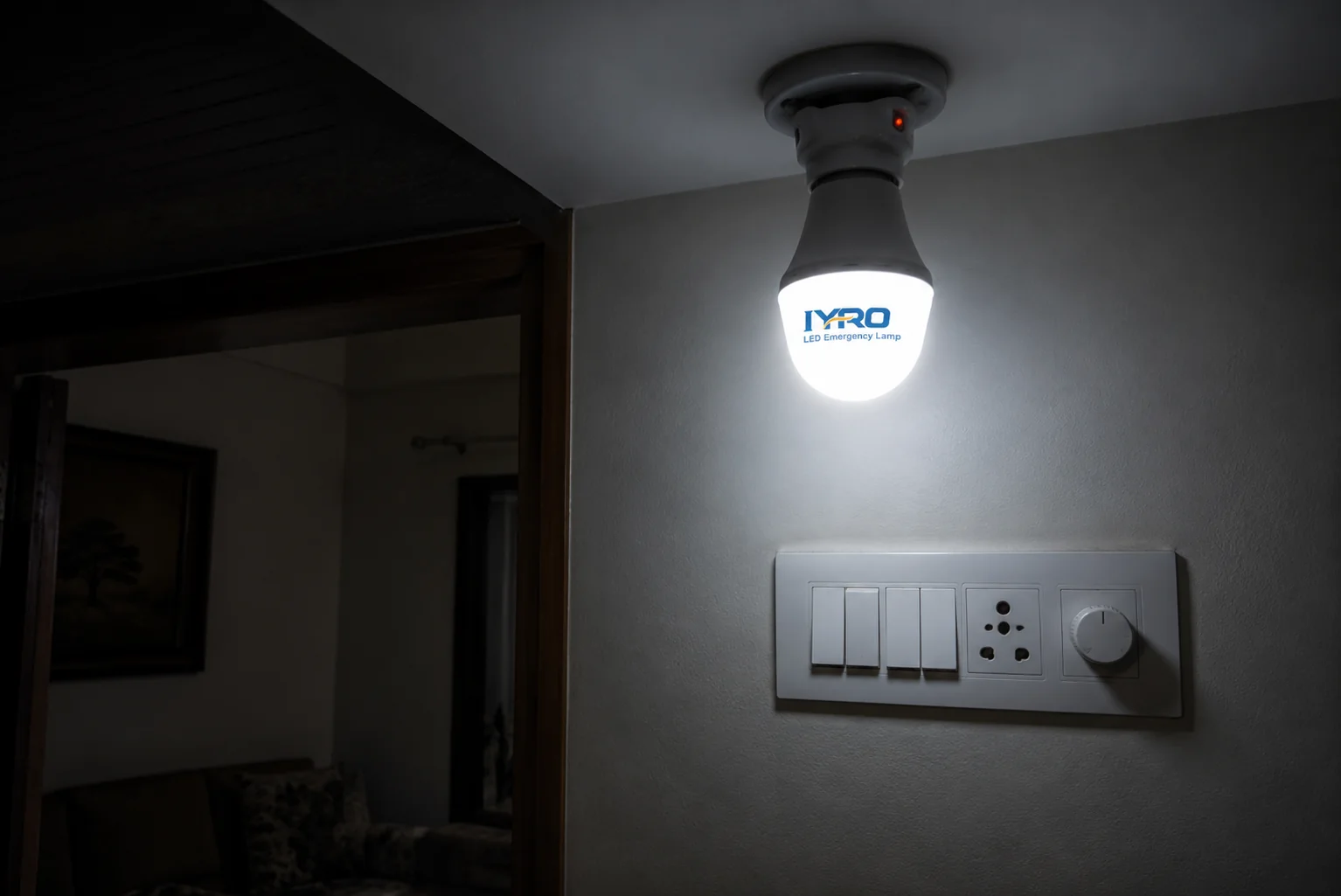 Emergency LED Bulbs